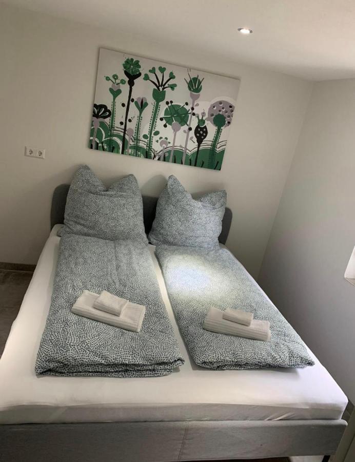 Greenhome Loerrach -Ihre Unterkunft Im 3-Laendereck- 客房 照片